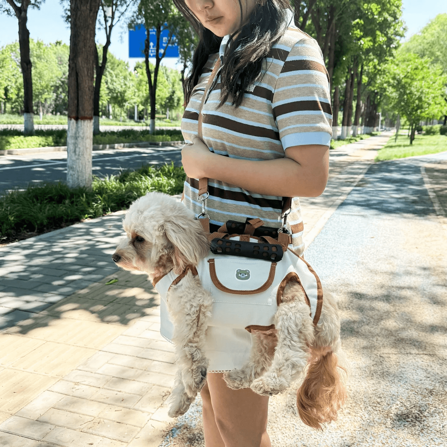 Small Pet Dog Travel Carrier