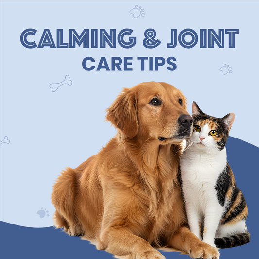 Calming & Joint Care Tips