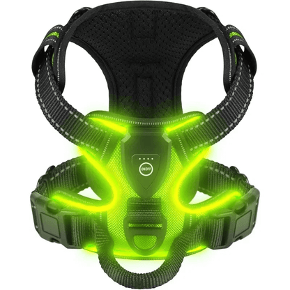 Rechargeable LED Glowing Dog Harness-3