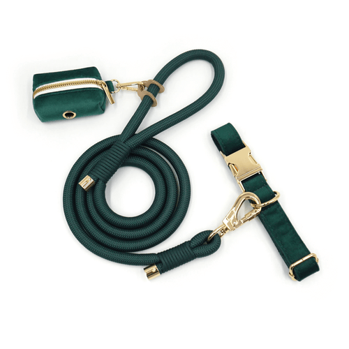 Velvet Training Collar + Poop Bag Holder – Emerald