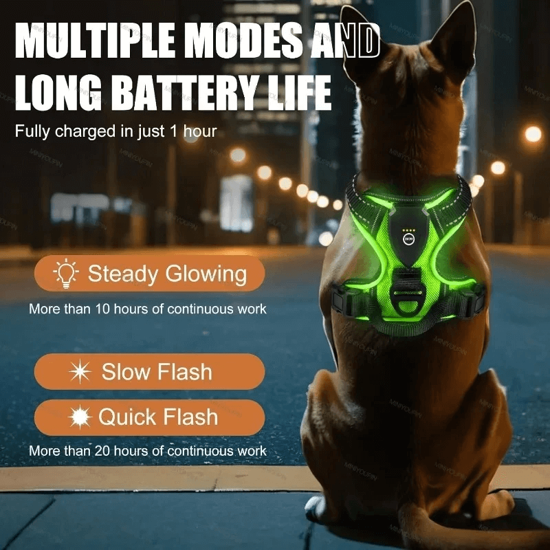 Rechargeable LED Glowing Dog Harness-3