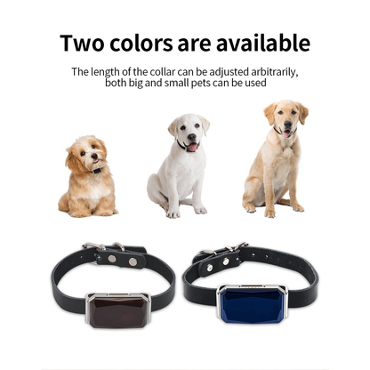 GPS locator for dogs and cats