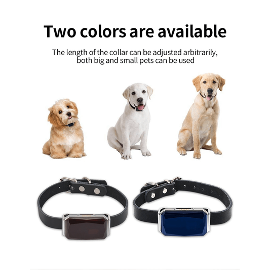 GPS locator for dogs and cats