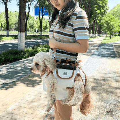 Small Pet Dog Travel Carrier