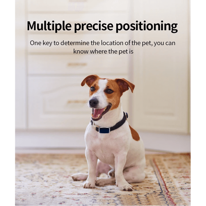 GPS locator for dogs and cats