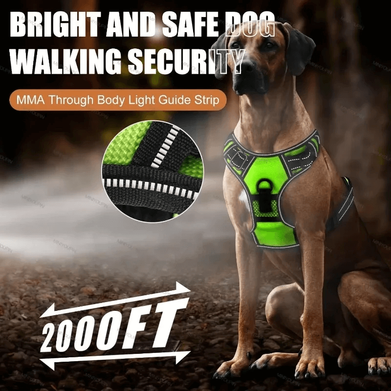 Rechargeable LED Glowing Dog Harness-3