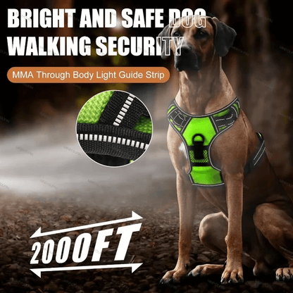 Rechargeable LED Glowing Dog Harness-3
