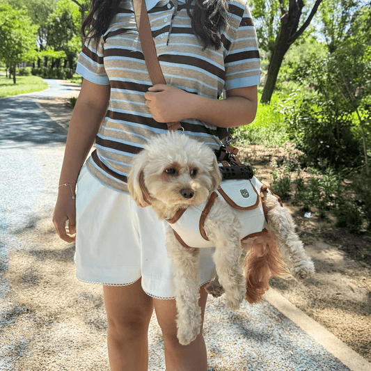 Small Pet Dog Travel Carrier