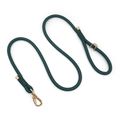 Velvet Training Collar + Poop Bag Holder – Emerald