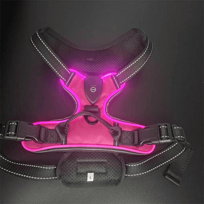 Rechargeable LED Glowing Dog Harness-3