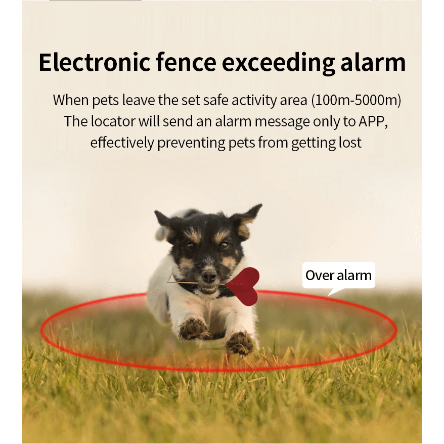 GPS locator for dogs and cats