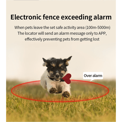 GPS locator for dogs and cats