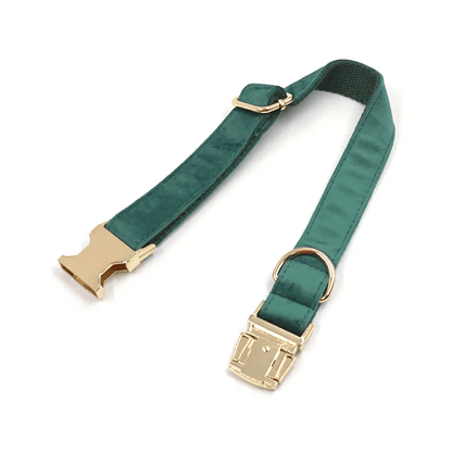 Velvet Training Collar + Poop Bag Holder – Emerald