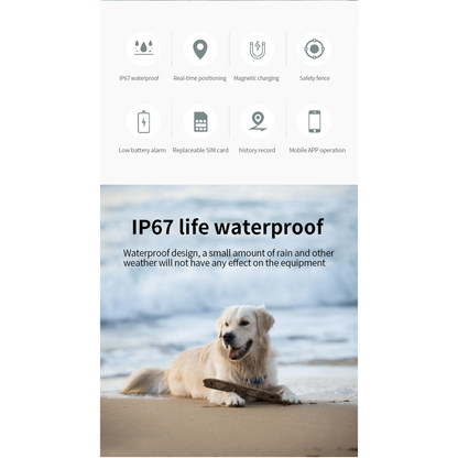 GPS locator for dogs and cats